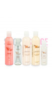 Hair Go Straight BLOWTOX kit complet 250ml